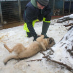 20260105-fotos-josephine-2