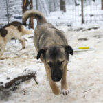 20260105-fotos-josephine-3