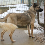 20260105-fotos-josephine-4