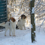 20260105-fotos-juliana-1