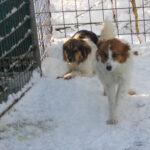 20260105-fotos-juliana-4