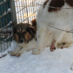 20260105-fotos-juliana-5