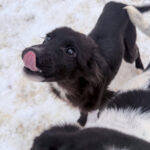 20260105-fotos-kalea-1