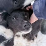 20260105-fotos-kalea-3