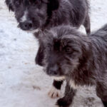 20260105-fotos-kalina-1