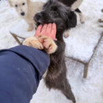 20260105-fotos-kalina-3