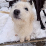 20260105-fotos-kasper-1