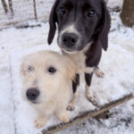 20260105-fotos-kasper-2