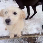 20260105-fotos-kasper-3