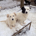 20260105-fotos-kasper-4