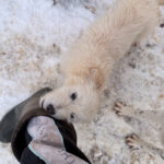 20260105-fotos-kasper-6