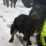 20260105-fotos-ralf-1
