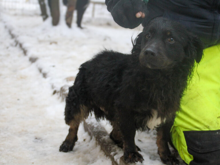 20260105-fotos-ralf-1