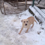 20260105-fotos-sassy-1