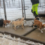 20260105-fotos-sassy-3