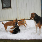 20260105-fotos-sena-1