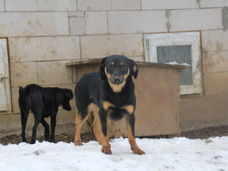 20260105-fotos-smilla-1