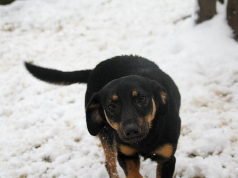 20260105-fotos-smilla-2