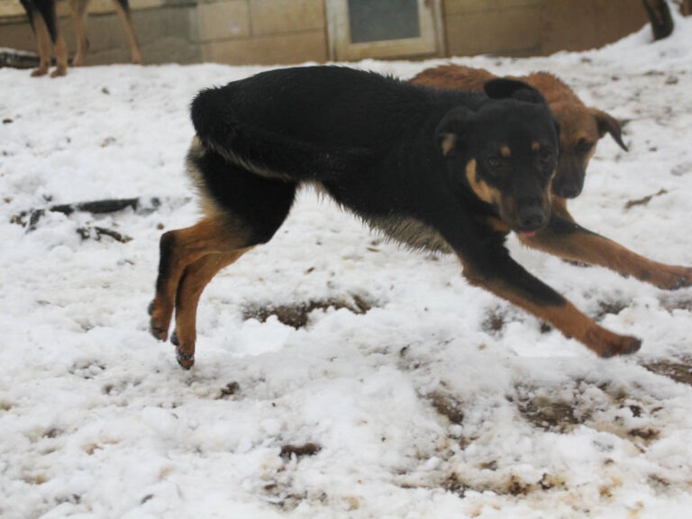 20260105-fotos-smilla-5