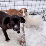 20260105-fotos-sushi-1