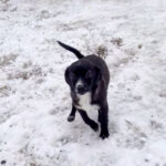 20260105-fotos-sushi-2