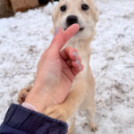 20260105-fotos-suzuki-1