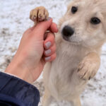 20260105-fotos-suzuki-3