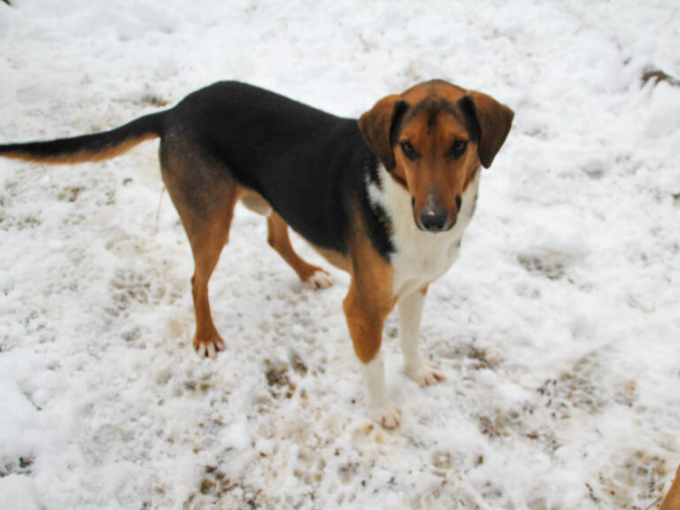 20260105-fotos-zlaja-1