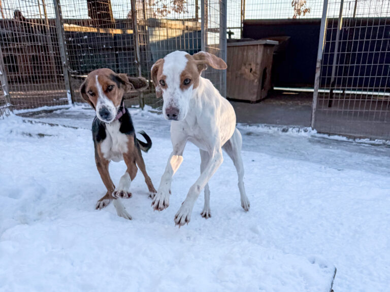 20260108-fotos-ofelia-1