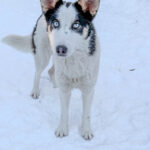 20260108-fotos-sasaki-01