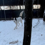 20260108-fotos-sasaki-03