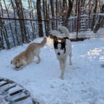 20260108-fotos-sasaki-04