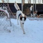 20260108-fotos-sasaki-05