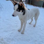 20260108-fotos-sasaki-07