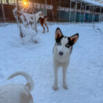 20260108-fotos-sasaki-08