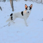 20260108-fotos-sasaki-09