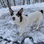 20260108-fotos-sasaki-10