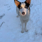 20260108-fotos-sasaki-11