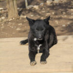 20260222-fotos-billie-2