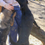 20260222-fotos-irma-1