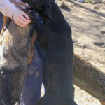 20260222-fotos-irma-3