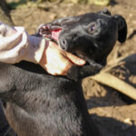 20260222-fotos-irma-4