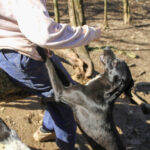 20260222-fotos-irma-5