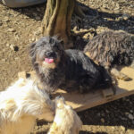 20260222-fotos-kairo-01