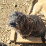 20260222-fotos-kairo-02