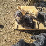 20260222-fotos-kairo-03