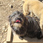 20260222-fotos-kairo-04