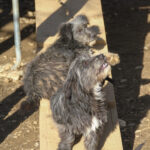 20260222-fotos-kairo-05