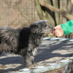 20260222-fotos-kairo-06