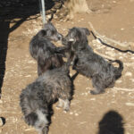 20260222-fotos-kairo-07